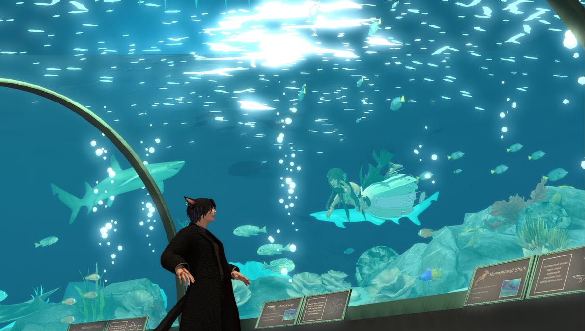 by QQ. He seldom expresses anger and frustration. When he does, it's usually aimed at inanimate objects. Like this cassoulet that refused to cook down properly.