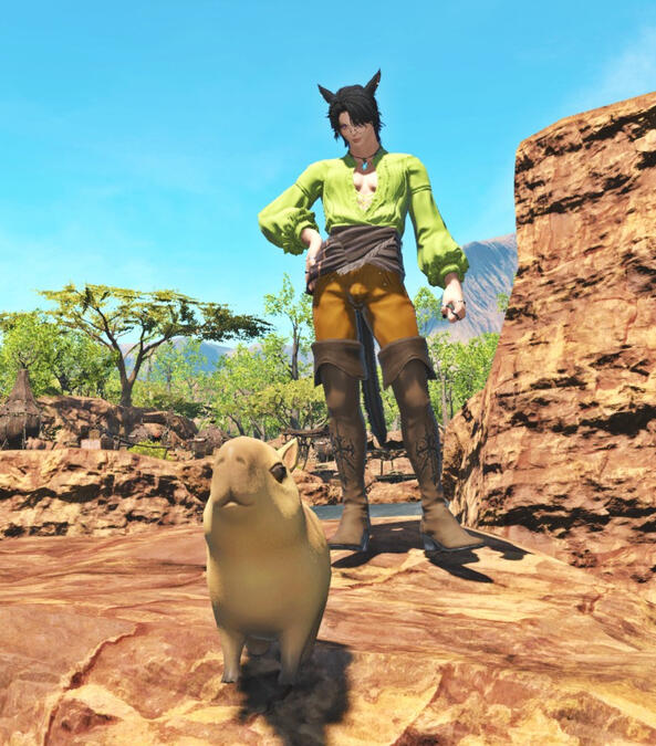 Donut has been with me for six years now. She hasn&#39;t aged a day.